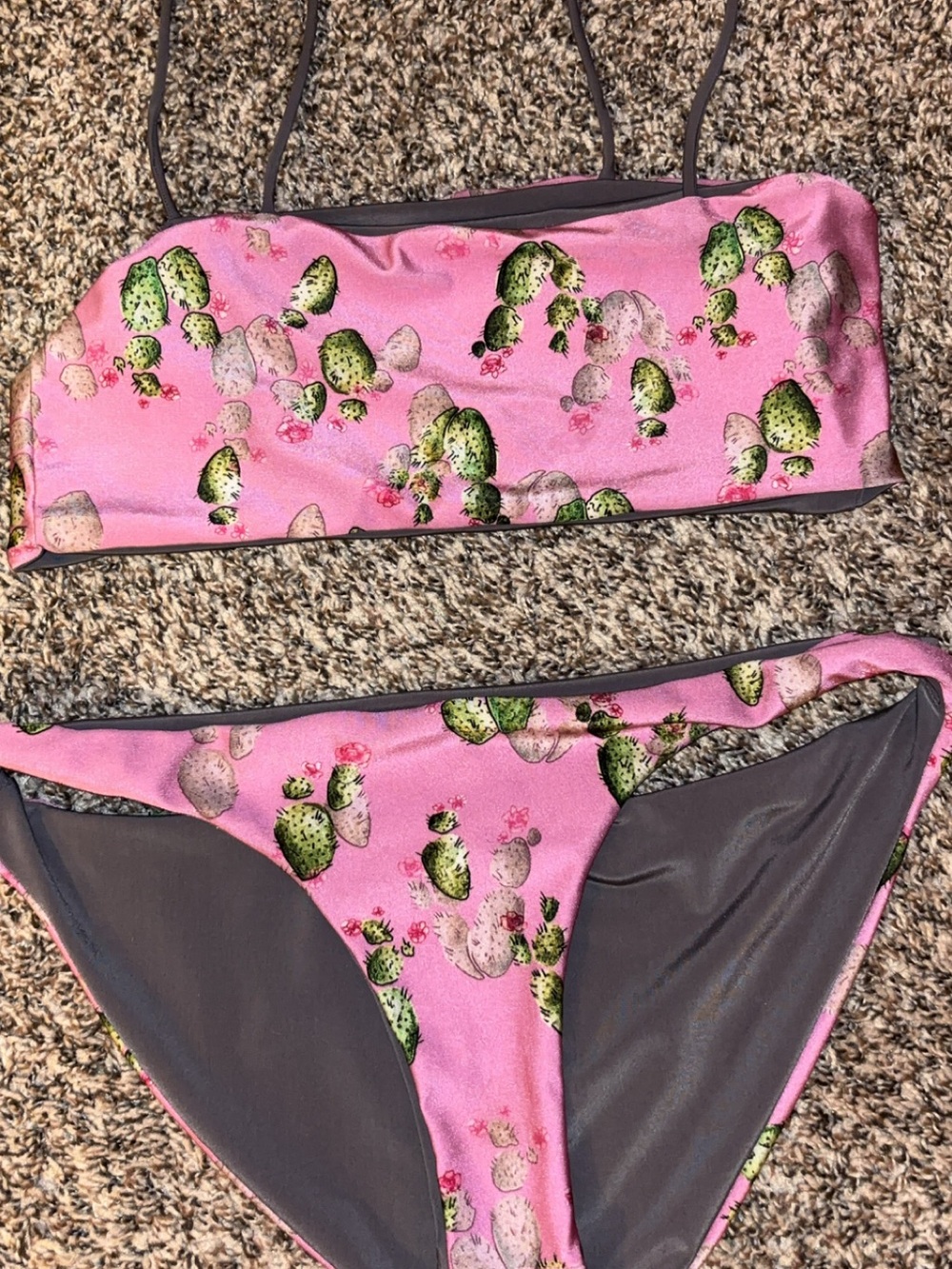 Pink Cactus Print Bikini Set - Picture 2 of 5